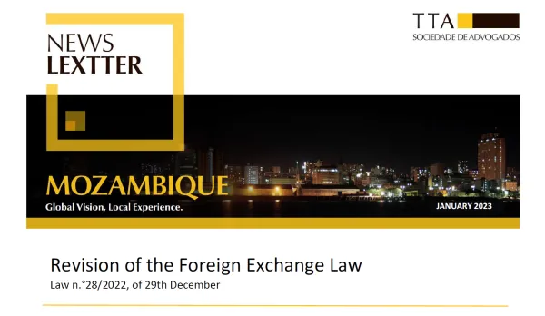 Revision of the Foreign Exchange Law